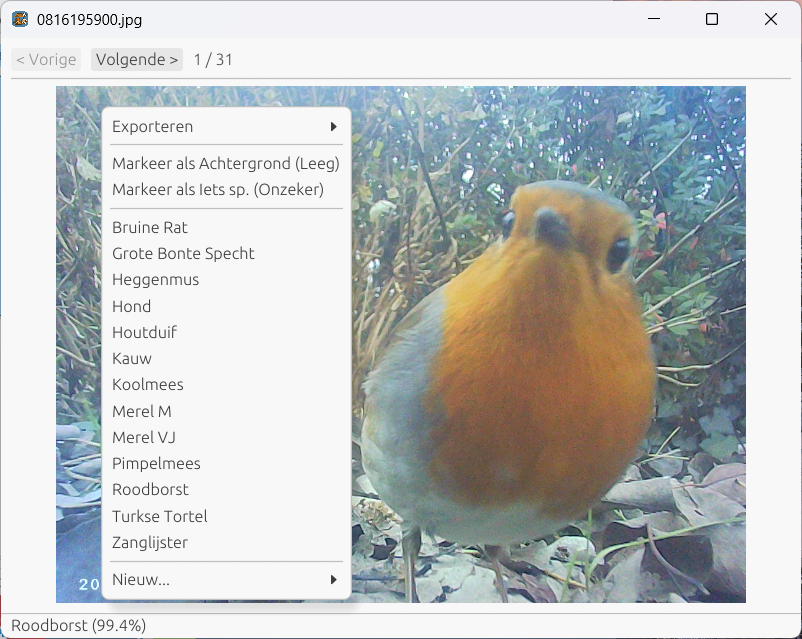 Individuele fotoviewer